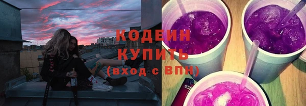 твердый Бородино