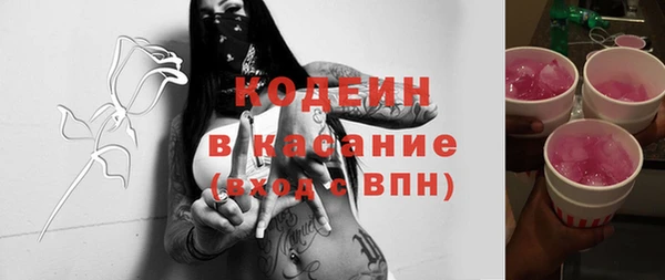 твердый Бородино