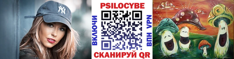 Купить закладки  Сунжа  Псилоцибиновые грибы мицелий 